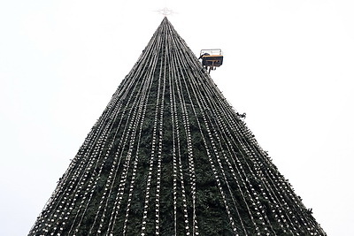 В Гомеле завершается установка новогодней елки