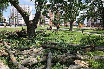 На благо города и людей: около 20 тыс. человек вышли на уборку последствий непогоды в Могилеве