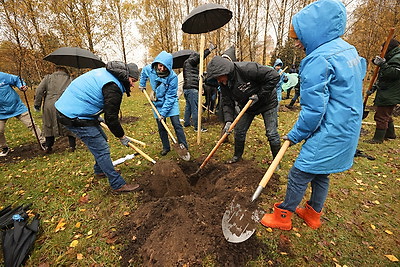 Республиканский субботник проходит в Минске