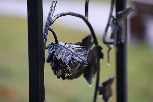Возродил старинное ремесло. Белорус открыл семейную кузницу