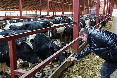 Здесь все работает на результат. Как развивается Белыничский СПК \"Колхоз \"Родина\"