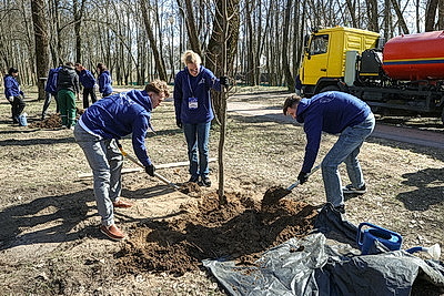 Аллею Памяти городов-героев высадили в столичном парке Победы