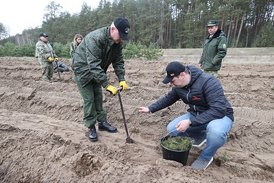 Руководство Гродненского облисполкома присоединилось к акции \"Дай лесу новае жыццё\"