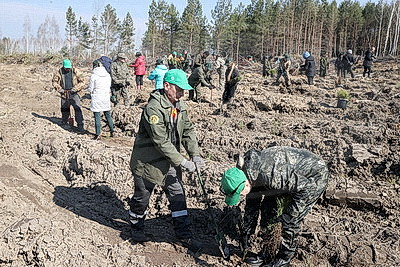 Для будущих поколений. Акция \"Дай лесу новае жыццё!\" стартовала в Жлобинском районе