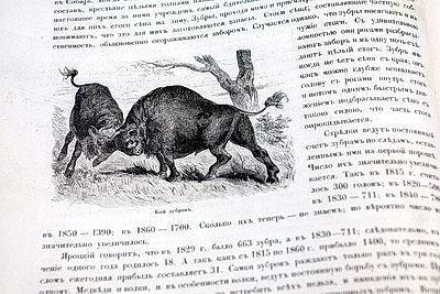 Пятое издание Красной книги презентовали в Минске