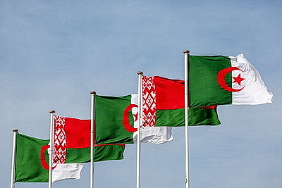 Лукашенко прибыл с официальным визитом в Алжир