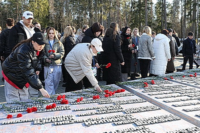 Участники \"Молодежной столицы-2025\" посадили у мемориала \"Партизанская криничка\" 80 берез
