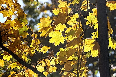 ФОТОХРОНИКА начинает новый информационный день