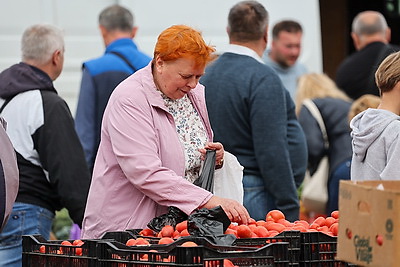 Сельскохозяйственные ярмарки стартовали в Минске
