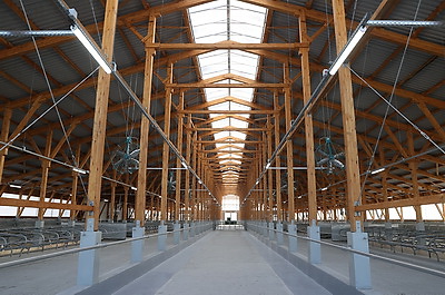 Обновленный молочно-товарный комплекс с уникальными конструкциями введен в строй в Петриковском районе