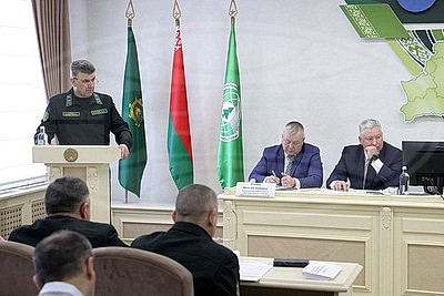 Завершить разработку ветроломов и восстановить лес после июльского урагана. Сроки и объемы обсудили в Жлобине