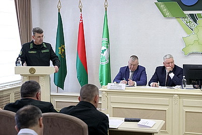 Завершить разработку ветроломов и восстановить лес после июльского урагана. Сроки и объемы обсудили в Жлобине
