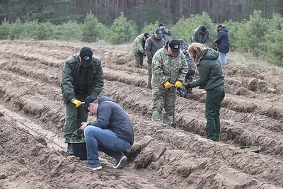 Руководство Гродненского облисполкома присоединилось к акции \"Дай лесу новае жыццё\"