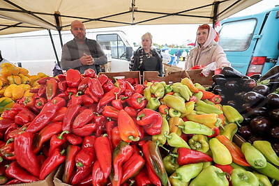 Сельскохозяйственные ярмарки стартовали в Минске