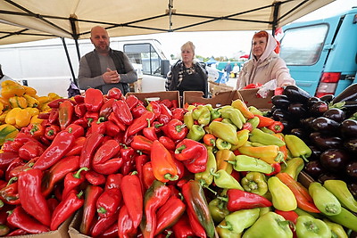 Сельскохозяйственные ярмарки стартовали в Минске