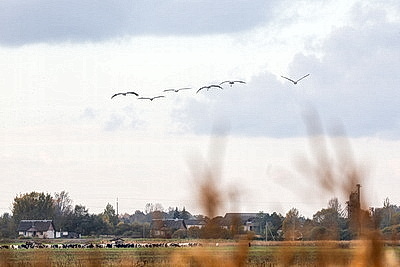 ФОТОХРОНИКА начинает новый информационный день