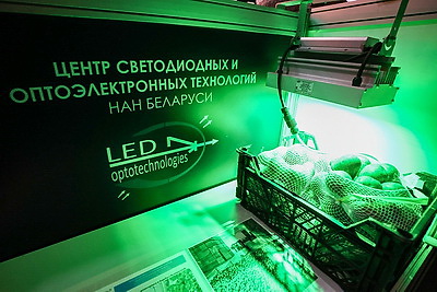 Общая площадь экспозиции - более 20 тыс. кв.м. Выставка \"ИННОПРОМ. Беларусь\" стартовала в Минске