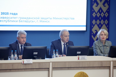 Парламентарии обсудили развитие законодательства в сфере деятельности МЧС