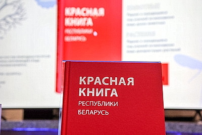 Пятое издание Красной книги презентовали в Минске