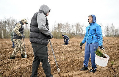 НОК Беларуси принял участие в акции \"Дай лесу новае жыццё!\"