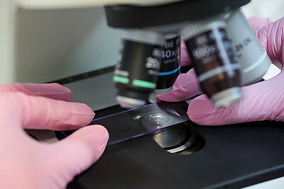 Белорусские ученые создают инновационные препараты для медицины и сельского хозяйства