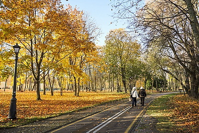 Золотые краски осени