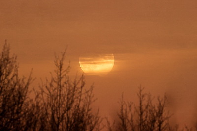 \"Бобровая луна\" над Беларусью