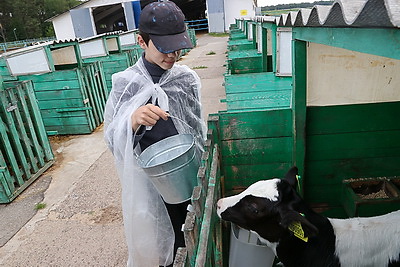 Лето с пользой. Как проходит день в школьном лагере Гомельского района