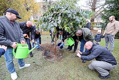 В Гродно поздравили молодые семьи с пополнением