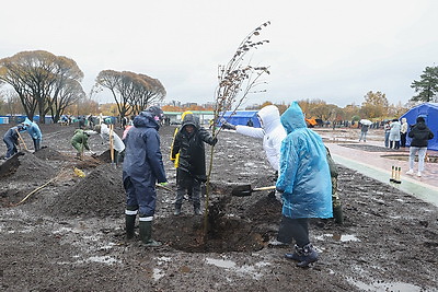 Республиканский субботник проходит в Минске