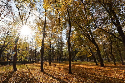 Золотые краски осени