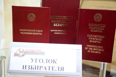 Выборы-2025: голосование в Могилевской области