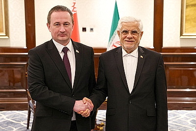 Турчин встретился с первым вице-президентом Ирана