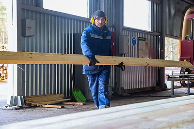 Производства по выпуску поддонов намерены наладить в Дрогичинском и Лунинецком лесхозах