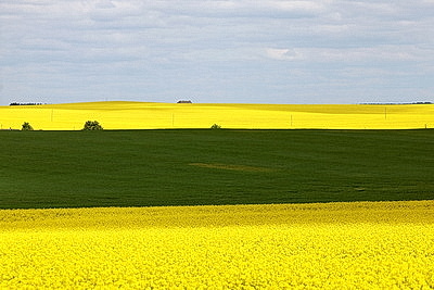 ФОТОХРОНИКА начинает новый информационный день