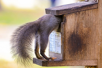 Золотые краски осени