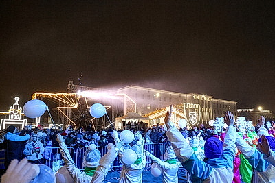 Огни зажгли на главной елке Бреста