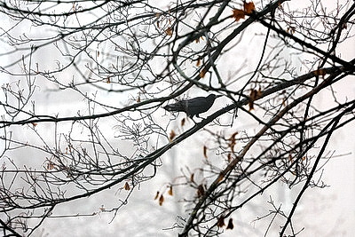 ФОТОХРОНИКА начинает новый информационный день