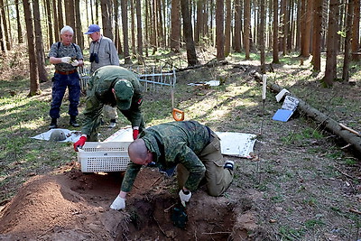 \"Все солдаты имели имена\". Поисковая экспедиция проходит в Могилевском и Чаусском районах