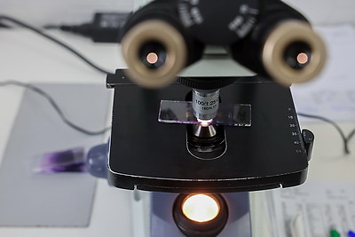 Здравоохранение Беларуси. Высокотехнологичная помощь и доступность