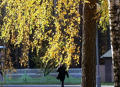 ФОТОХРОНИКА начинает новый информационный день