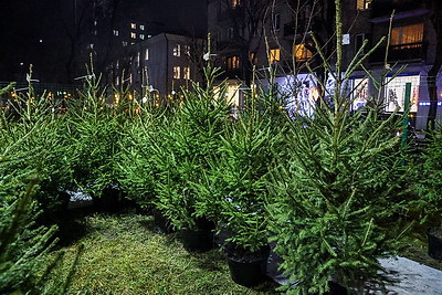 Предновогодние ярмарки работают в Бресте