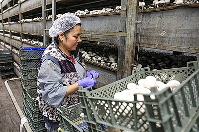 Законопроект по вопросам внешней трудовой миграции должен поступить на рассмотрение депутатов в 2026 году