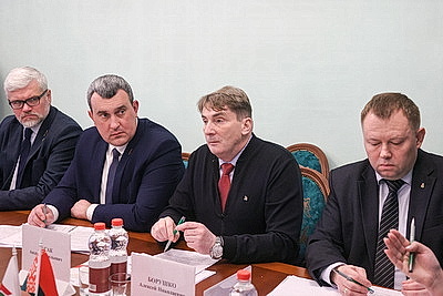 \"Содействовать экономическому развитию и вносить региональные инициативы\". Чемоданова о роли партий