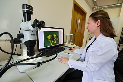 Белорусские ученые создают инновационные препараты для медицины и сельского хозяйства