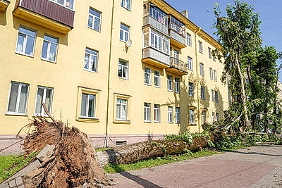 К ликвидации последствий грозового фронта в Могилевской области привлечены дополнительные ресурсы и силы