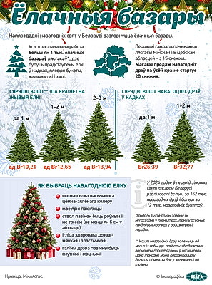 Инфографика. Елочные базары
