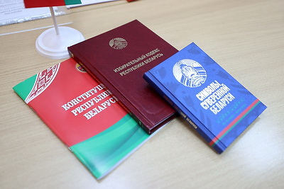 Началось досрочное голосование на выборах Президента Беларуси