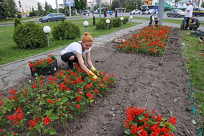 Около 700 тыс. цветов высадят в Гомеле с наступлением теплых дней