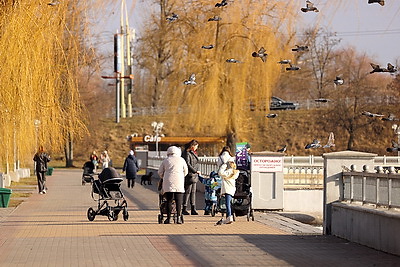 До +11°С в январе. Погода в Бресте радует горожан